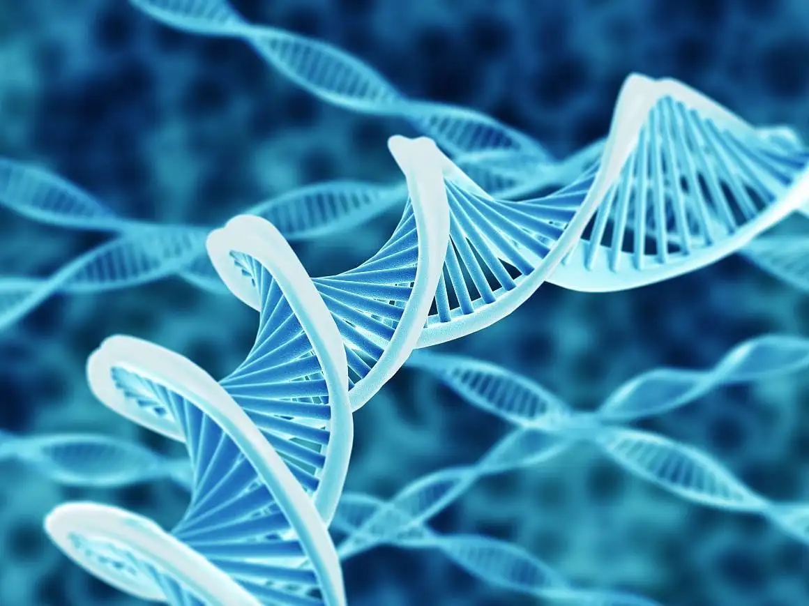 IPO前夕扭亏为盈的荣盛生物，为何倒在了科创板大门口？