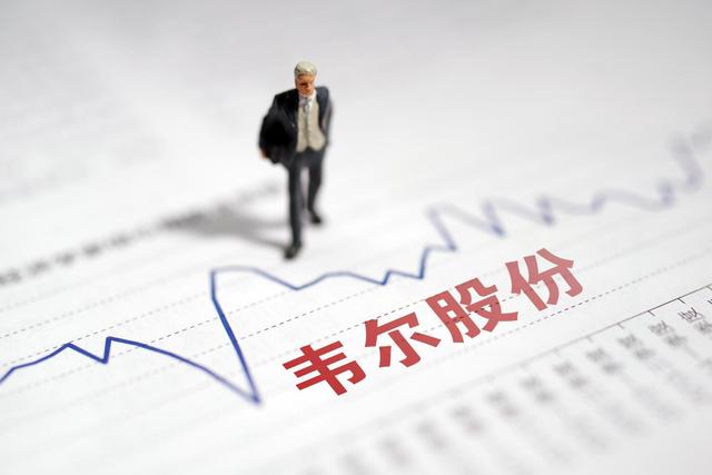 “白马股”韦尔股份怎么了?