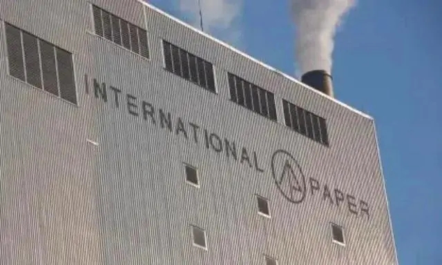 征服全球的造纸巨头,为何败走中国?