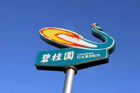 初代地产大佬杨国强退隐，“接班人”为何是二女儿杨惠妍？