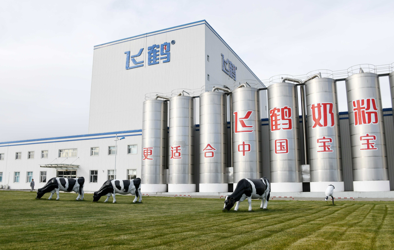 两年股价跌超七成，飞鹤乳业还有哪些“牌”能打？