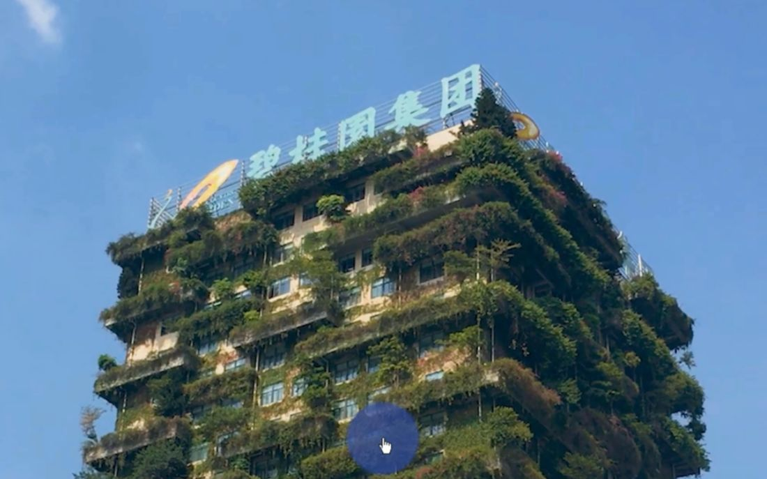近十年首亏、行业一哥宝座不保的碧桂园,“利润换稳健”惹的祸?