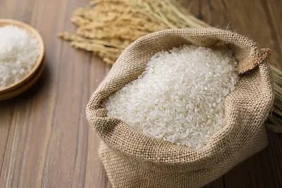 禄山投资领投，中高端有机大米长河米业获数千万元A轮融资