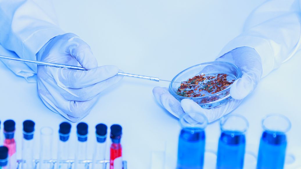 加速细胞培养关键原料技术国产化，依科赛生物完成近亿元B++轮战略融资