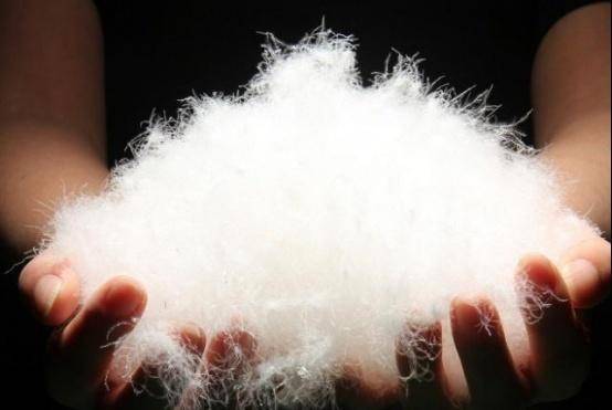 安徽冲出第一家羽绒上市公司？海澜之家羽绒供应商IPO