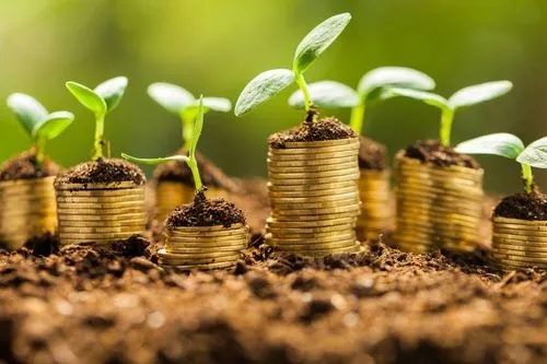 硅光产业投资人，奔赴武汉东湖募资