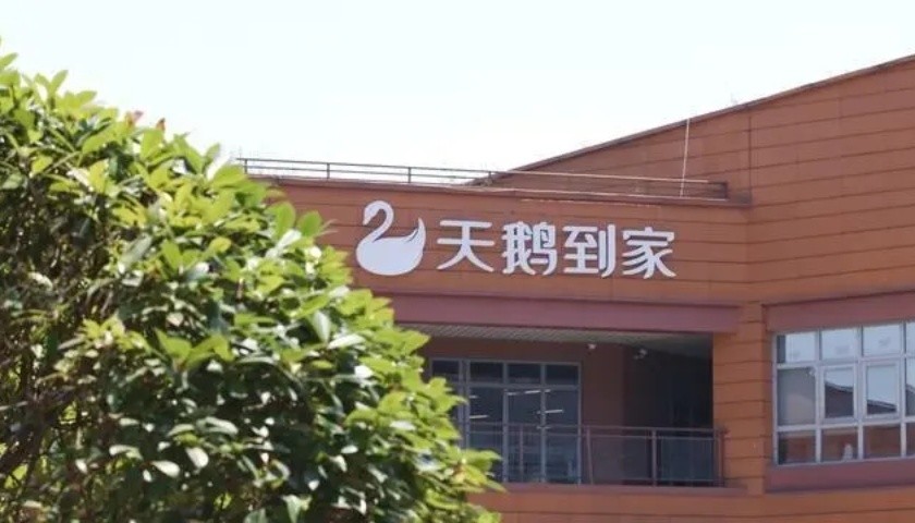 抢占下一个万亿市场，天鹅到家还没准备好