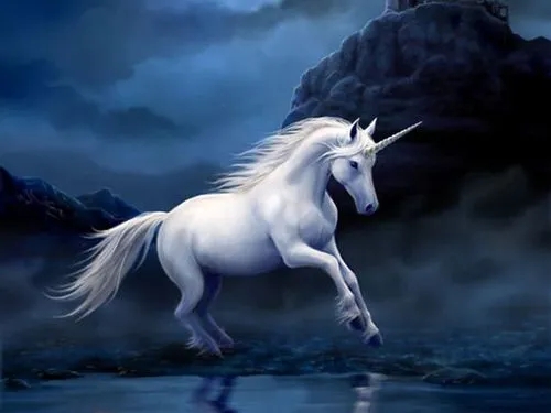 5轮融资30多亿的独角兽宣布倒闭