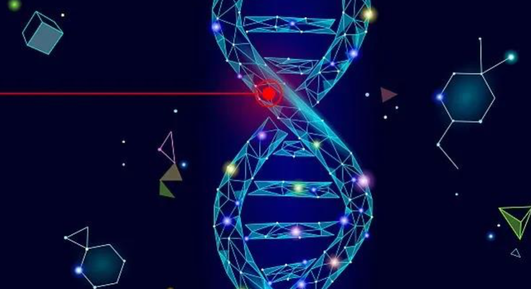 本导基因完成超2亿元B轮融资，龙磐投资领投