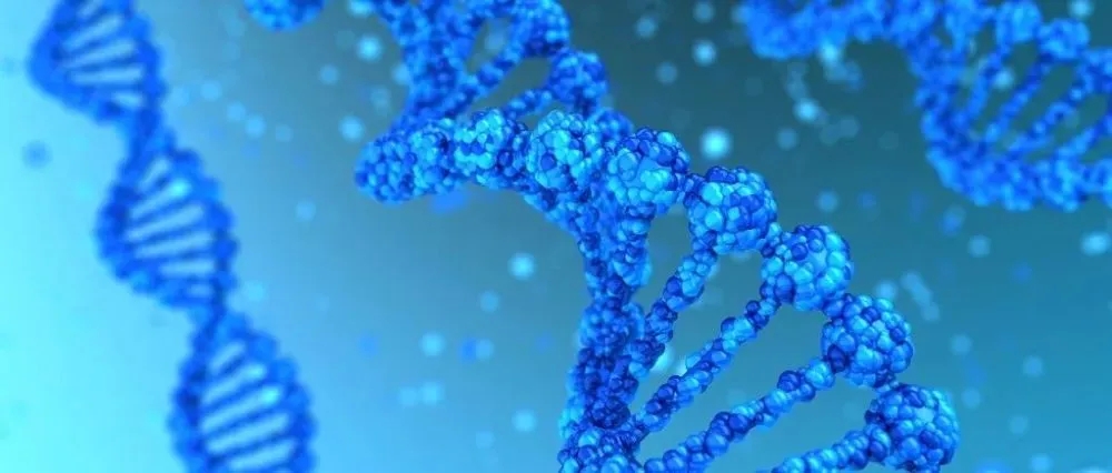 金浦投资与弘盛资本共同投资，玮美基因完成新一轮战略融资