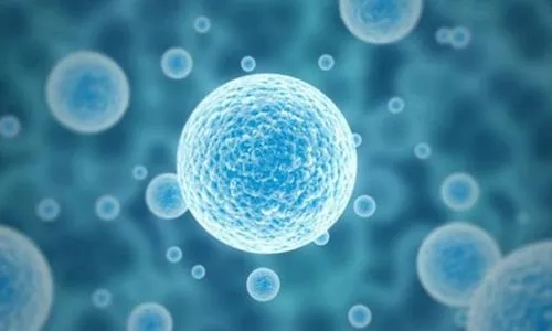 恩瑞恺诺完成Pre-A轮融资