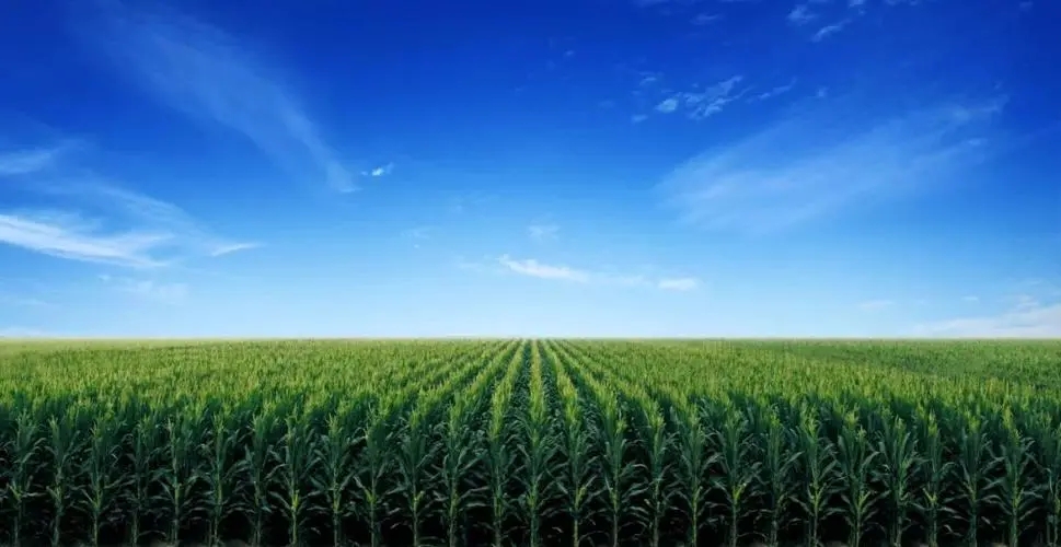 将高能物理技术应用于作物生长，中科拓达获千万级融资