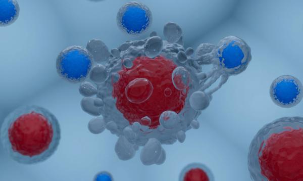 艺妙神州完成新一轮融资，清元资本加码