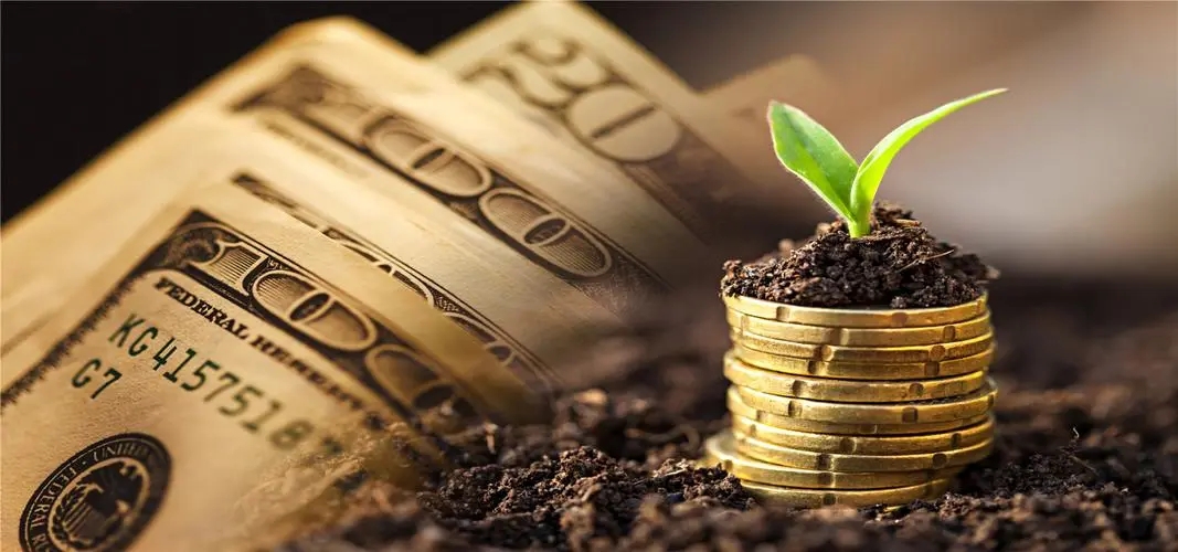 美元基金投资人体感变好了