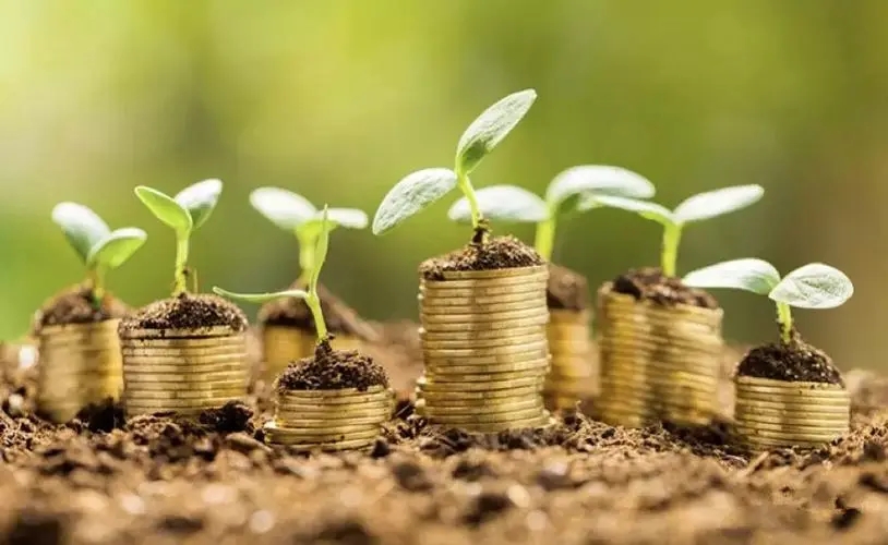 没有办公室，种子轮却融了4个亿