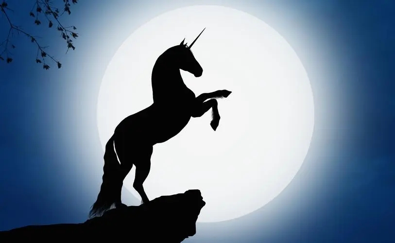 近300亿，又一家超级独角兽诞生