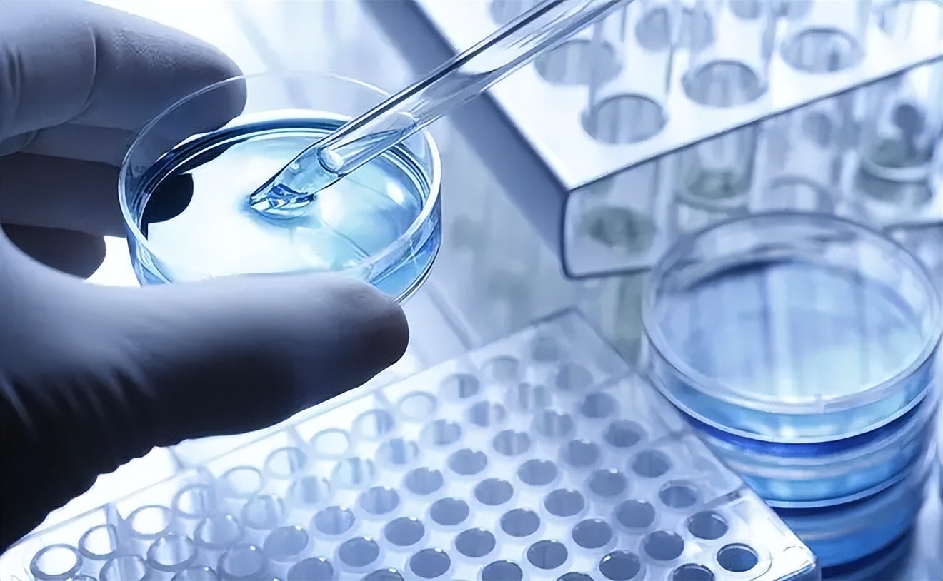 柯泰亚生物科技完成B轮融资，聚焦合成生物