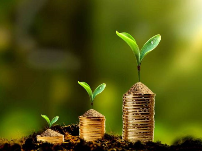 机器人投资:看热闹的是流量,出钱的是VC,赔钱的是谁?