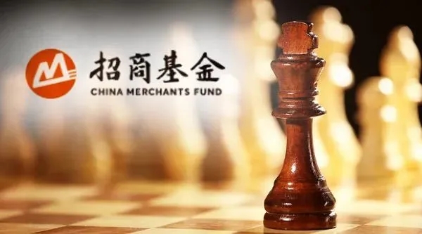 招商基金许荣漫在管13只基金下跌，8年老将付斌持股同质化严重