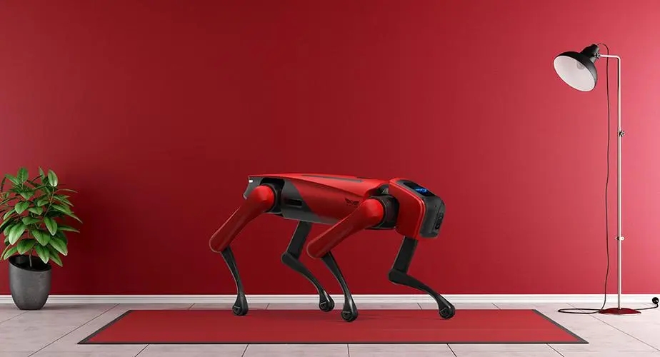 南京，搞了个机器“狗”