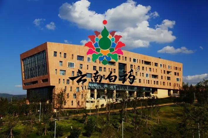 医药反腐风刮进云南白药，董事长悬空已近7月