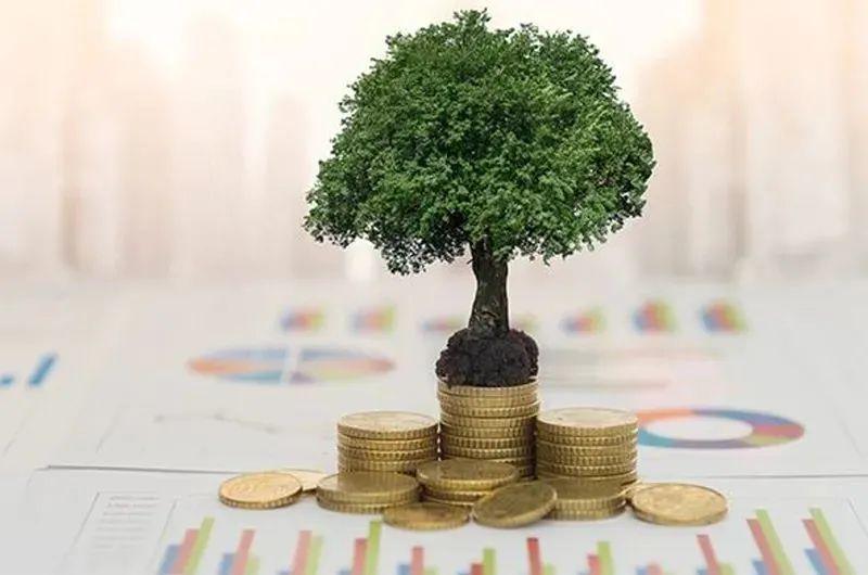 赛诺动力完成数千万元A轮融资，启明创投独家投资