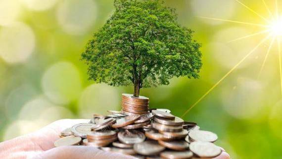 后王宗合时代难觅接班人，鹏华基金连养老产品都“亏麻了”