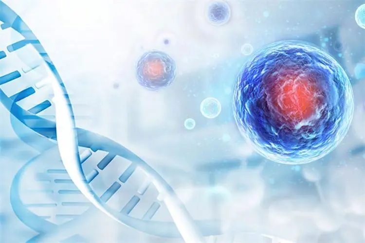 德屹资本领投，华源再生医学完成数千万元PreA++轮融资