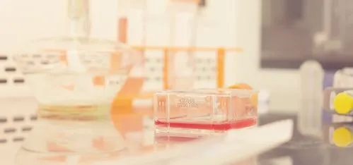 完善表观遗传学技术研发平台，赛岚医药完成近亿元A+轮融资