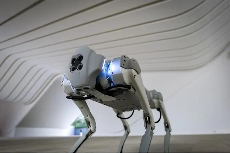 宇树科技完成B2轮融资，美团、源码、深创投都投了