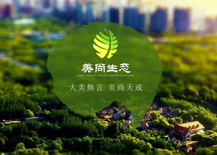 内幕交易800亿，董事长倒亏2亿！