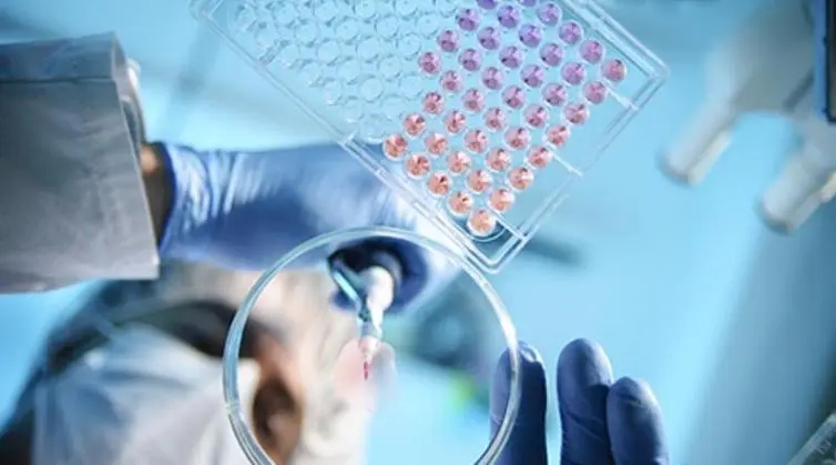 鲲石生物完成数千万元Pre-A轮融资，专注于巨噬细胞药物治疗实体瘤