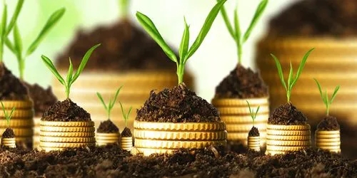 一个种子轮估值10几亿