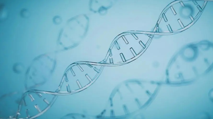 俩月赚4倍，最快退出诞生了