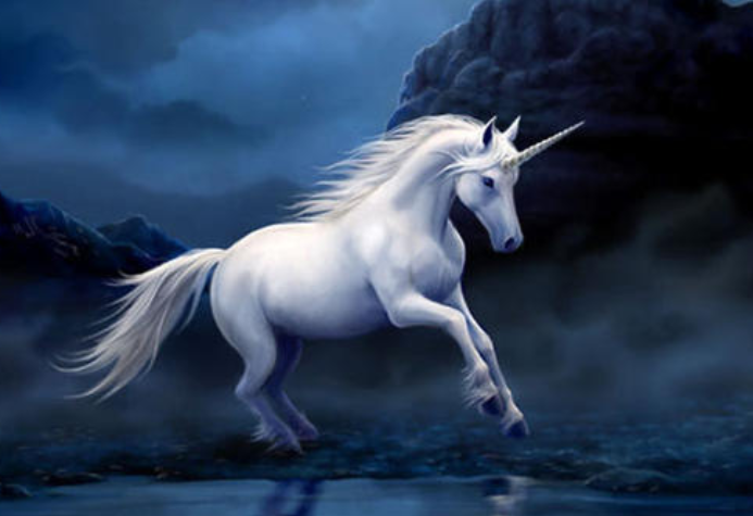 100亿独角兽，宣布终止IPO