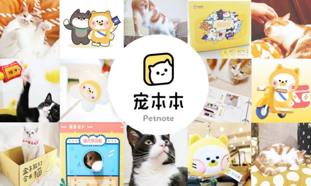 前泽资本领投,宠物O2O平台宠本本完成1亿元B轮融资