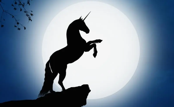 6家独角兽，藏着青岛创投的秘密