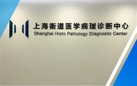 提升数智化病理综合解决能力，衡道医学完成B+轮融资