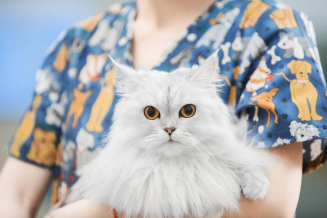 高压氧舱致人死亡4个月后，新瑞鹏IPO急刹车！