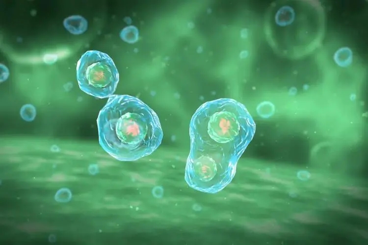国科创投投资,跃赛生物获数千万元A+轮融资