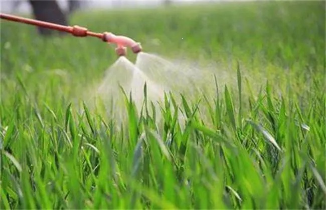 2024农药行业景气有望向上，部分农药上市公司一季度业绩回暖