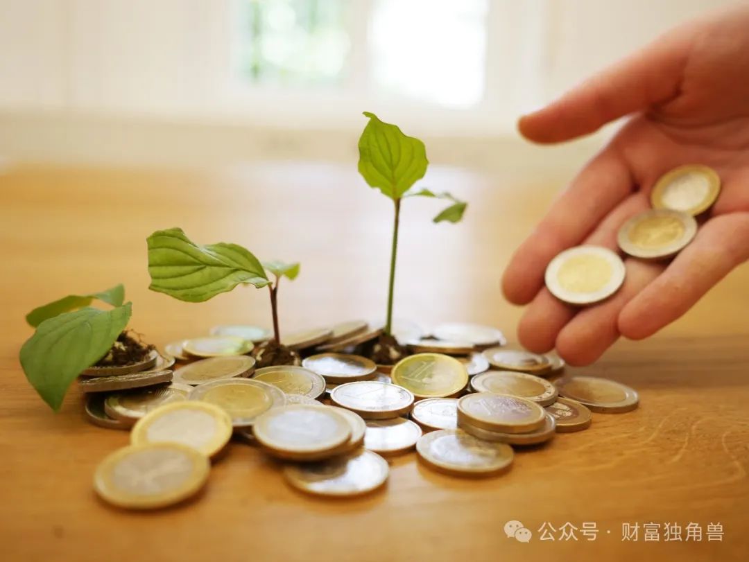 研究部总经理管理五只基金无一赚钱？国投瑞银桑俊2025年遭遇溃败