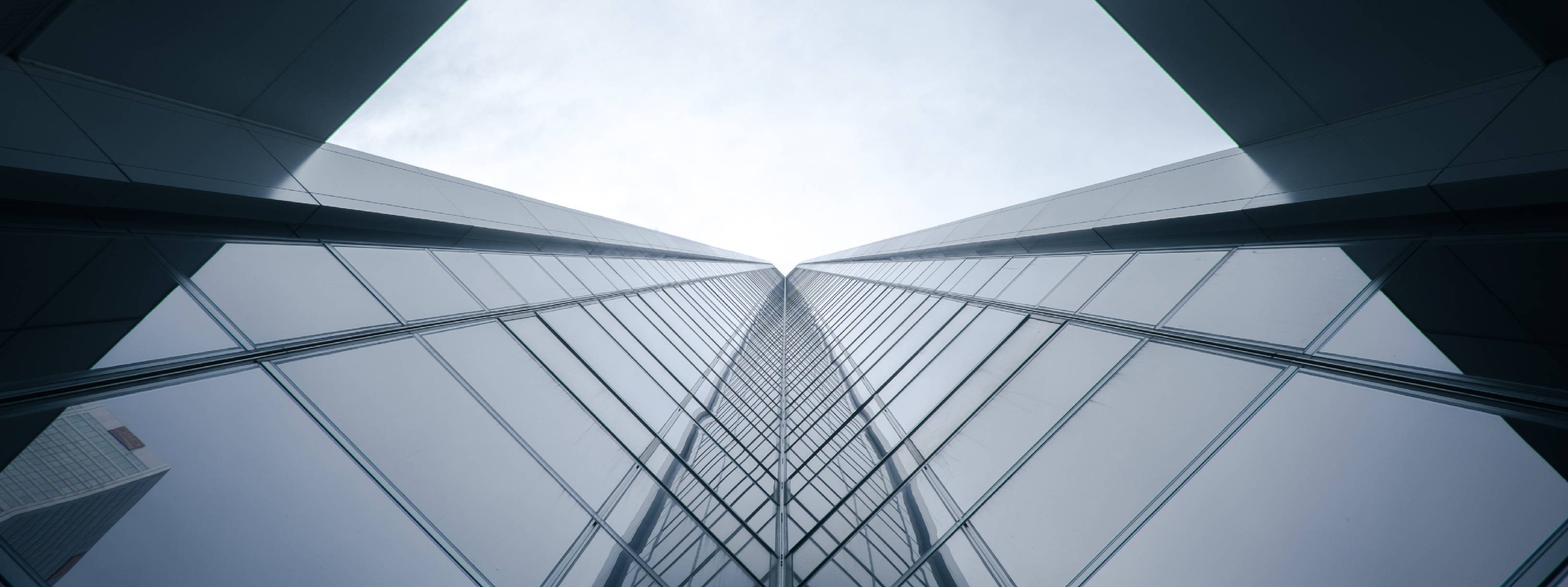 又一百亿独角兽破产了