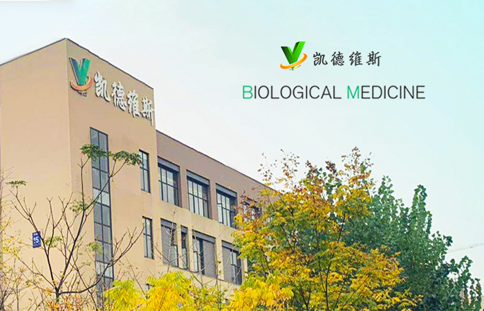 聚焦妇科肿瘤领域诊疗方案，凯德维斯完成近2亿元B轮融资