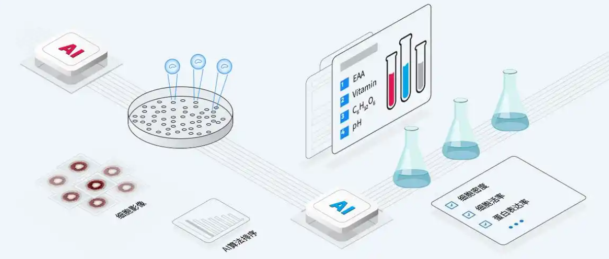 大湾生物完成第一阶段B轮融资,曾获阿里巴巴创业基金二度加码