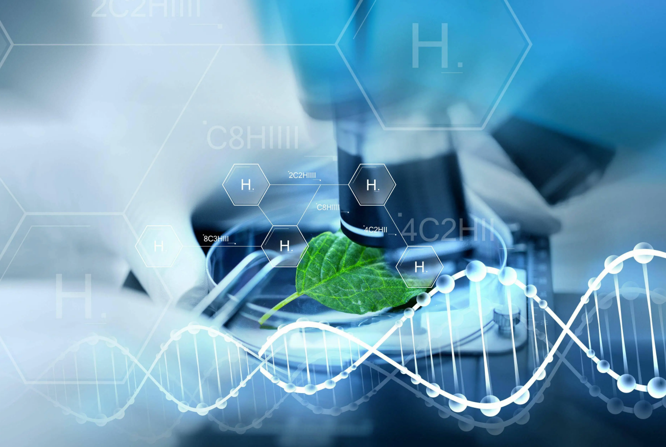 聚焦合成生物学领域,粒影生物完成近亿元A轮融资