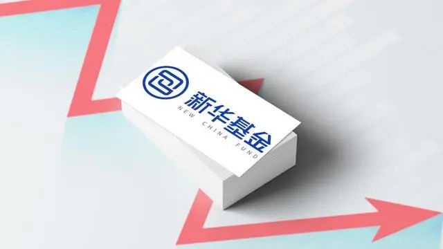 新华基金赖庆鑫在管7只基金6只亏损，高位持有国联股份被质疑