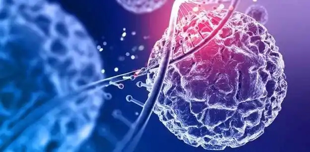 聚焦免疫治疗创新药物研发,英百瑞完成近亿元A+轮融资