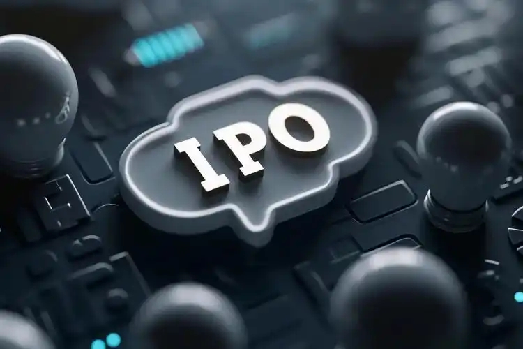 2024年IPO之王：中金资本夺魁，高瓴创投第二，红杉中国第三