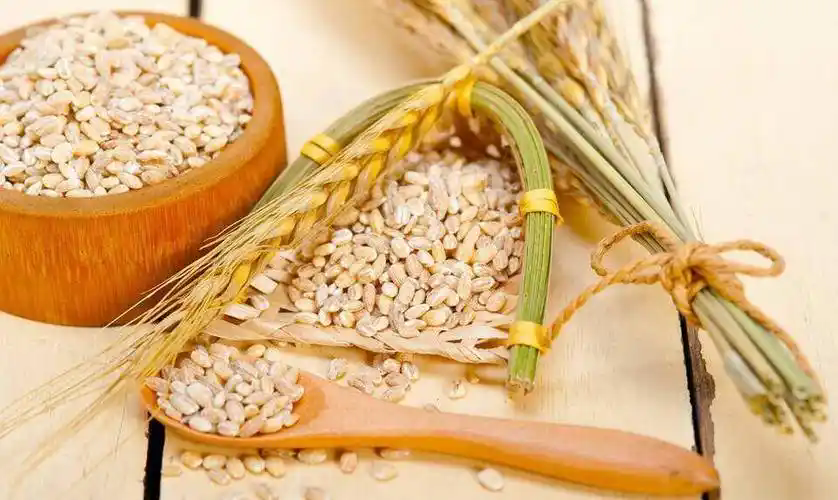 从数量安全到质量安全，让中国碗装更多优质粮